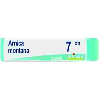 ARNICA MONTANA 7CH DILUIZIONE HAHNEMANNIANA CENTESIMALE IN GLOBULI 1G