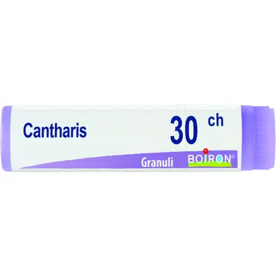 CANTHARIS 30CH GLOBULI 1G CANTHARIS 30CH GLOBULI 1G