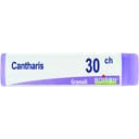 CANTHARIS 30CH GLOBULI 1G