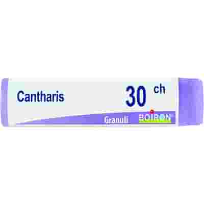 CANTHARIS 30CH GLOBULI 1G
