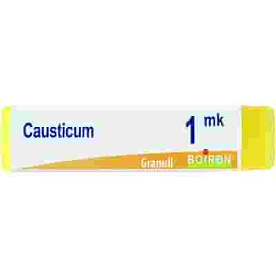 CAUSTICUM MK GLOBULI 1G