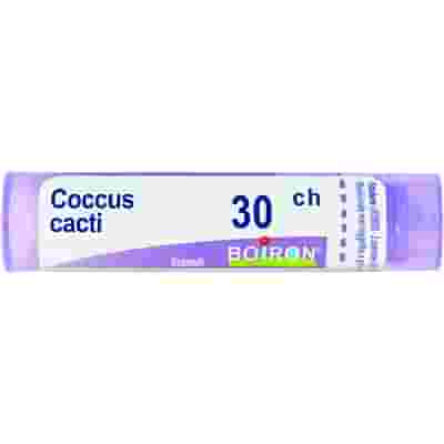 COCCUS CACTI 30 CH GRANULI 4G