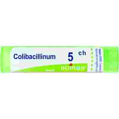 COLIBACILLINUM 5CH GRANULI 4G