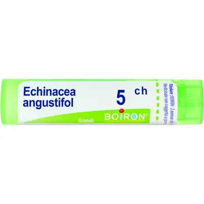ECHINACEA ANGUSTIFOLIA 5 CH GRANULI 4G ECHINACEA ANGUSTIFOLIA 5 CH GRANULI 4G