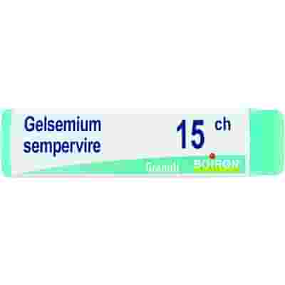 GELSEMIUM SEMPERVIRENS 15 CH GLOBULI 1G