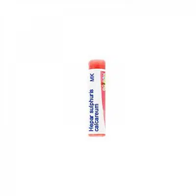 HEPAR SULFURIS CAL MK GLOBULI 1G HEPAR SULFURIS CAL MK GLOBULI 1G