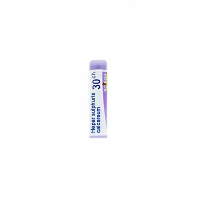 HEPAR SULFURIS CALCAREUM 30 CH GLOBULI 1G HEPAR SULFURIS CALCAREUM 30 CH GLOBULI 1G