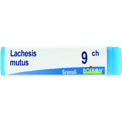 LACHESIS MUTUS 9CH GLOBULI 1G LACHESIS MUTUS 9CH GLOBULI 1G