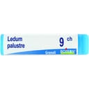 LEDUM PALUSTRE 9CH GLOBULI 1G
