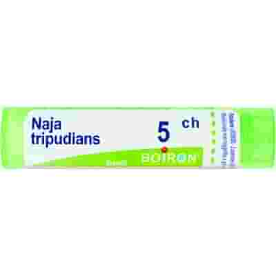 NAJA TRIPUDIANS 5 CH GRANULI 4G