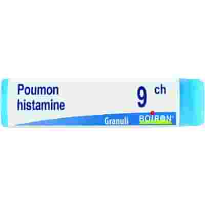 POUMON HISTAMINE 9CH GLOBULI 1G