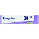 PYROGENIUM 30CH GLOBULI 1G