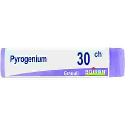 PYROGENIUM 30CH GLOBULI 1G
