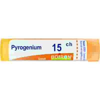 PYROGENIUM 15 CH GRANULI 4G