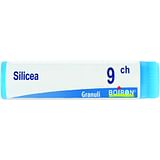 SILICEA 9 CH GLOBULI 1G