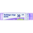SOLIDAGO VIRGA AUREA 30CH GRANULI 4G