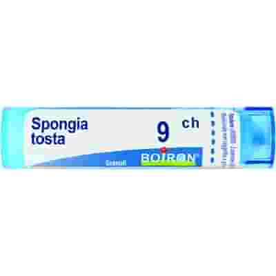 SPONGIA TOSTA 9 CH GRANULI 4G