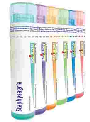 STAPHYSAGRIA 15 CH GLOBULI 1G