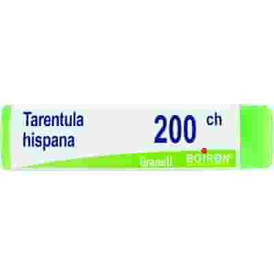 TARENTULA HISPANA 200CH GLOBULI 1G