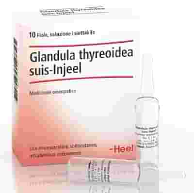 HEEL GLANDULA THYROIDEA SUIS INJEEL 10 FIALE