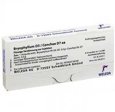 BRYOPHYLLUM/CONCHAE 8 FIALE 1 ML BRYOPHYLLUM/CONCHAE 8 FIALE 1 ML
