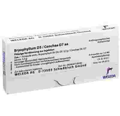 BRYOPHYLLUM/CONCHAE 8 FIALE 1 ML