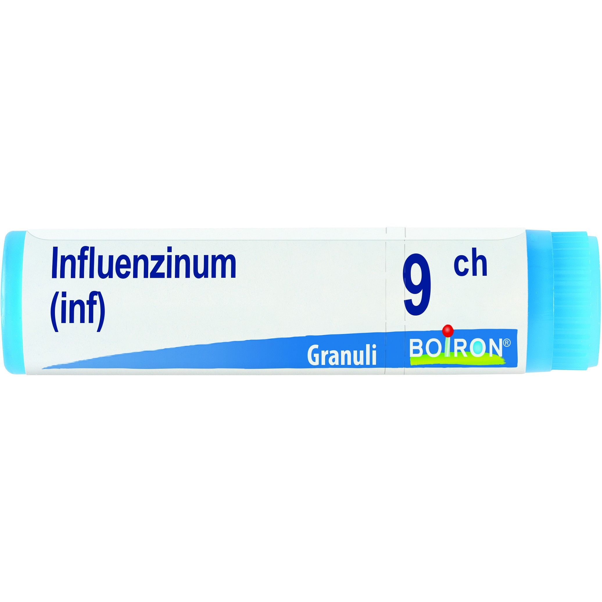 Influenzinum 9 Ch Globuli 1 Dose 1 G