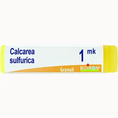 CALCAREA SULFUR MK GLOBULI 1G CALCAREA SULFUR MK GLOBULI 1G