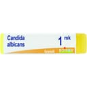 CANDIDA ALBICANS MK GLOBULI 1G