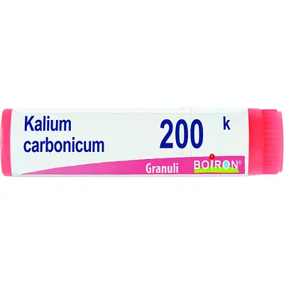 KALIUM CARBONICUM 200K GLOBULI 1G KALIUM CARBONICUM 200K GLOBULI 1G