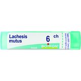BOIRON LACHESIS MUTUS 6CH GRANULI