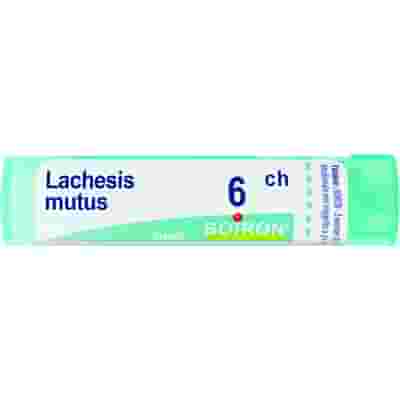 BOIRON LACHESIS MUTUS 6CH GRANULI