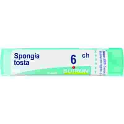 SPONGIA TOSTA 6CH GRANULI 4G