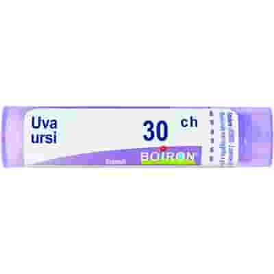 UVA URSINA 30CH GRANULI 4G