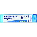 RHODODENDRON CHRYSAN 9CH GRANULI 4G