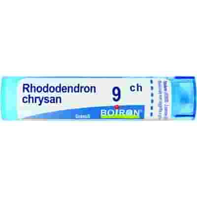 RHODODENDRON CHRYSAN 9CH GRANULI 4G