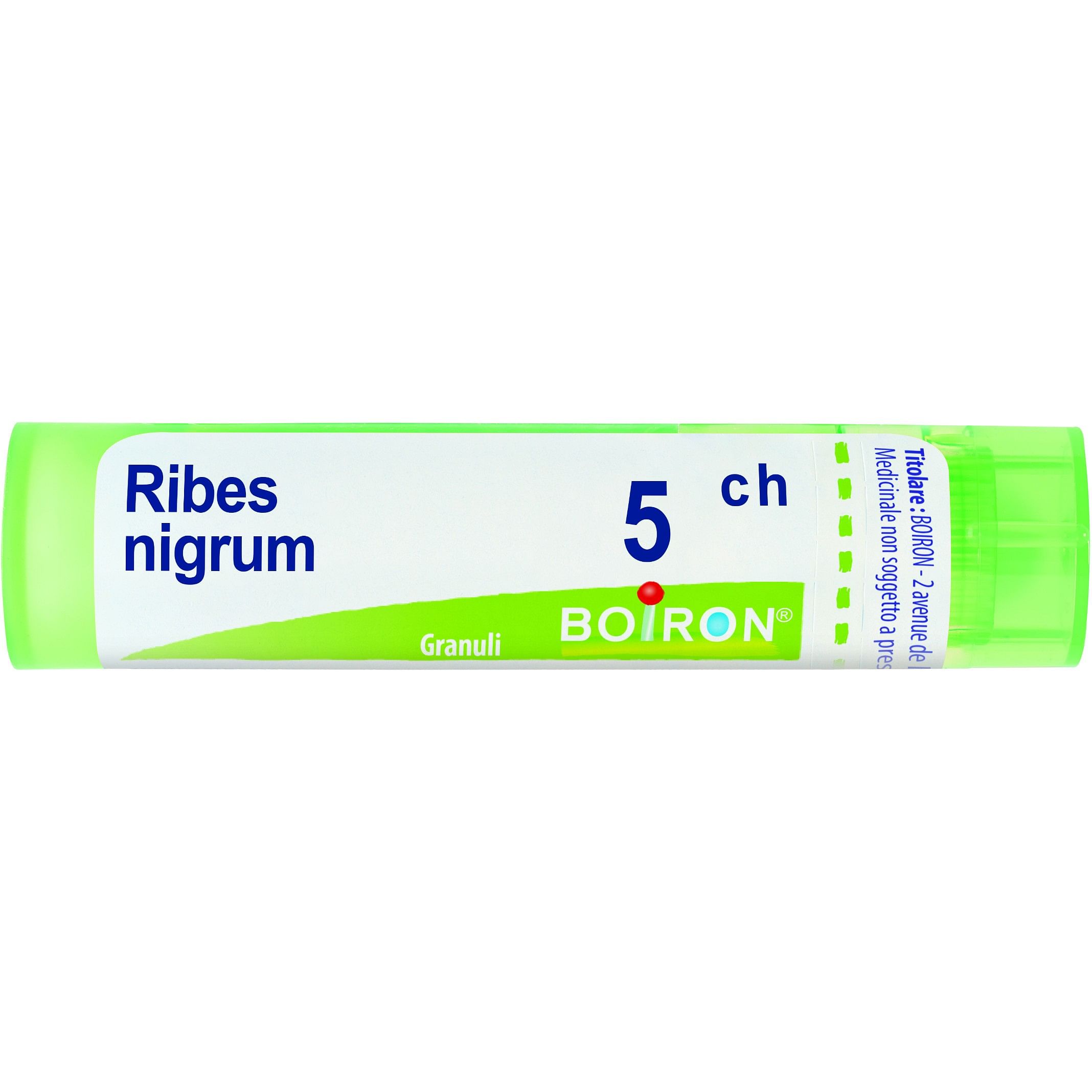 Boiron Ribes Nigrum 5 Ch Granuli