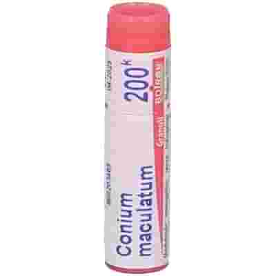 CONIUM MACULATUM 200K GLOBULI 1G