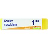 CONIUM MACULATUM MK GLOBULI 1G