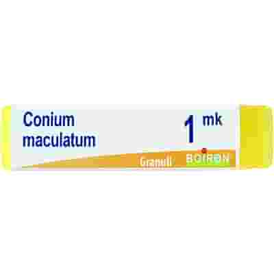 CONIUM MACULATUM MK GLOBULI 1G