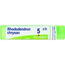 RHODODENDRON CHRYSAN 5CH GRANULI 4G