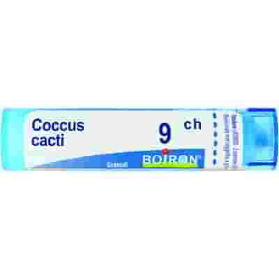 COCCUS CACTI 9 CH GRANULI 4G