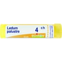 LEDUM PALUSTRE 4 CH GRANULI 4G