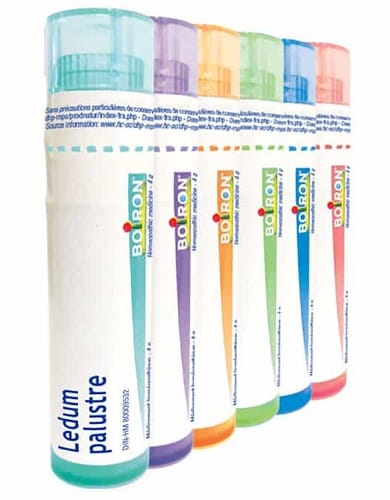 LEDUM PALUSTRE 200 CH GRANULI 4G