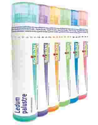 LEDUM PALUSTRE 200 CH GRANULI 4G