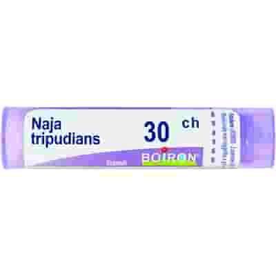 NAJA TRIPUDIANS 30 CH GRANULI 4G