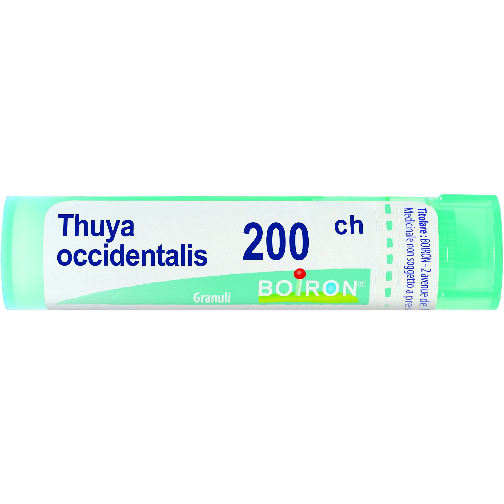 Thuya Occidentalis 200 Ch Granuli 4 G