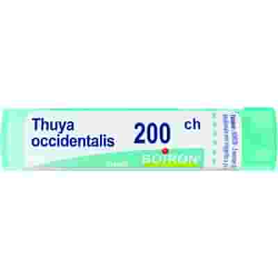 THUYA OCCIDENTALIS 200 CH GRANULI 4G