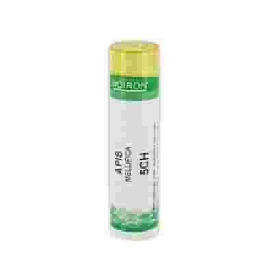 APIS MELLIFICA 5CH GRANULI