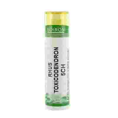 RHUS TOXICODENDRON 5CH GRANULI